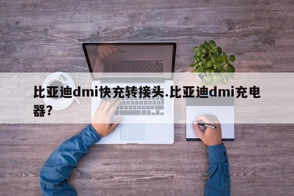 比亚迪dmi快充转接头.比亚迪dmi充电器?